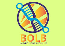 3d name logo design